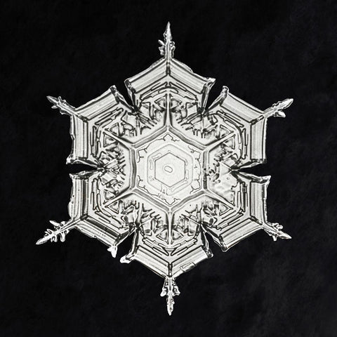 Snowflake 579A White Modern Wood Framed Art Print with Double Matting by Bentley, Wilson