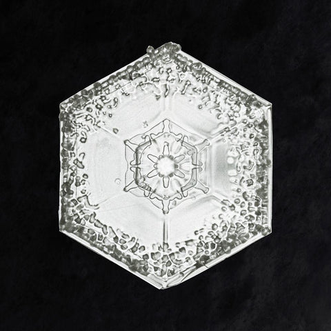 Snowflake 951 White Modern Wood Framed Art Print with Double Matting by Bentley, Wilson