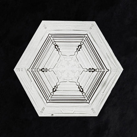 Snowflake 234 White Modern Wood Framed Art Print with Double Matting by Bentley, Wilson
