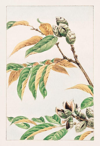 Shi White Modern Wood Framed Art Print with Double Matting by Morikaga, Megata