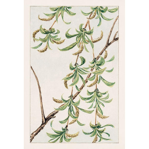 Yanagi or willow Gold Ornate Wood Framed Art Print with Double Matting by Morikaga, Megata