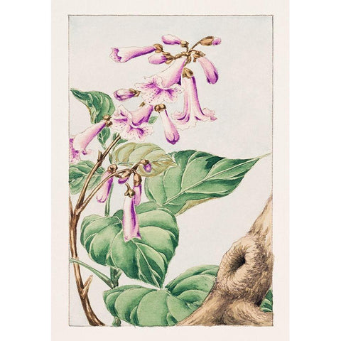 Kiri branch with flowers and leaves Gold Ornate Wood Framed Art Print with Double Matting by Morikaga, Megata