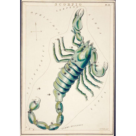 Astronomical chart illustration of the Scorpio White Modern Wood Framed Art Print by Library of Congress
