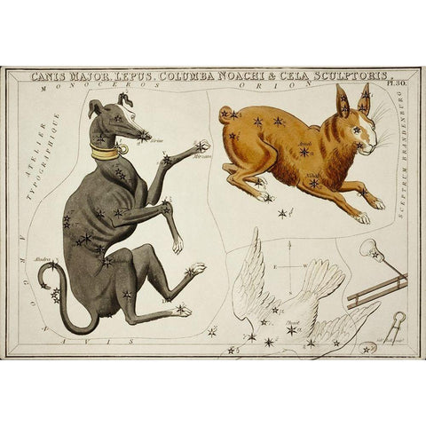 Astronomical chart illustration of the Canis Major-Lepus-Columba Noachi and the Cela Sculptoris White Modern Wood Framed Art Print by Hall, Sidney