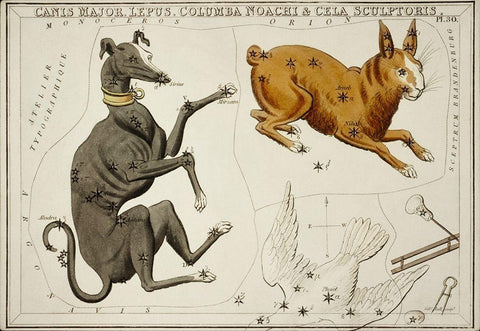 Astronomical chart illustration of the Canis Major-Lepus-Columba Noachi and the Cela Sculptoris White Modern Wood Framed Art Print with Double Matting by Hall, Sidney