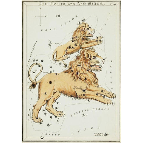 Astronomical chart illustration of the Leo Major and the Leo Minor Black Modern Wood Framed Art Print with Double Matting by Hall, Sidney