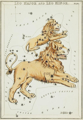 Astronomical chart illustration of the Leo Major and the Leo Minor White Modern Wood Framed Art Print with Double Matting by Hall, Sidney