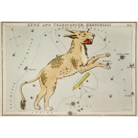 Astronomical chart illustration of Lynx and the Telescopium Herschilii Black Modern Wood Framed Art Print with Double Matting by Hall, Sidney