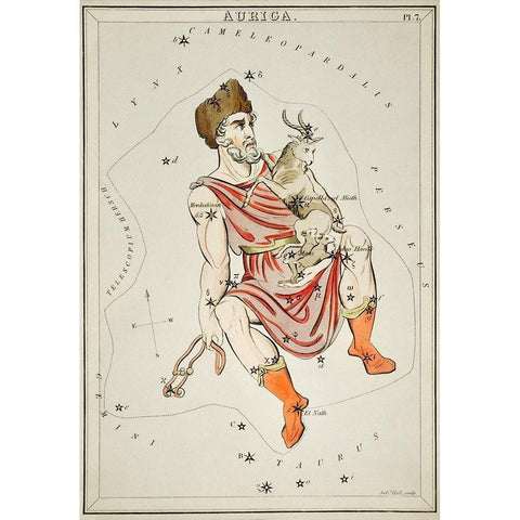 Astronomical chart illustration of the Auriga Gold Ornate Wood Framed Art Print with Double Matting by Hall, Sidney