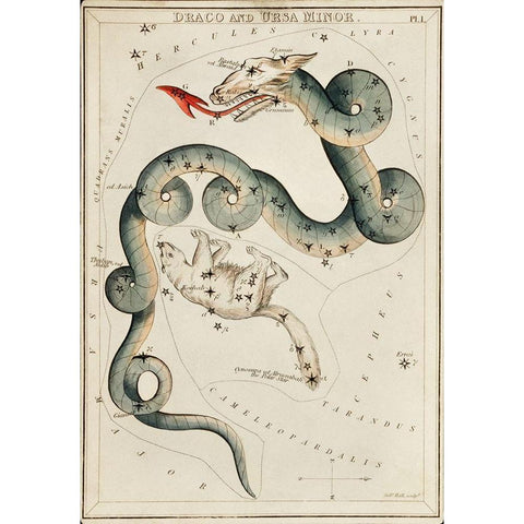 Astronomical chart illustration of the Draco and the Ursa Minor White Modern Wood Framed Art Print by Hall, Sidney