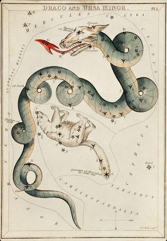 Astronomical chart illustration of the Draco and the Ursa Minor Black Ornate Wood Framed Art Print with Double Matting by Hall, Sidney