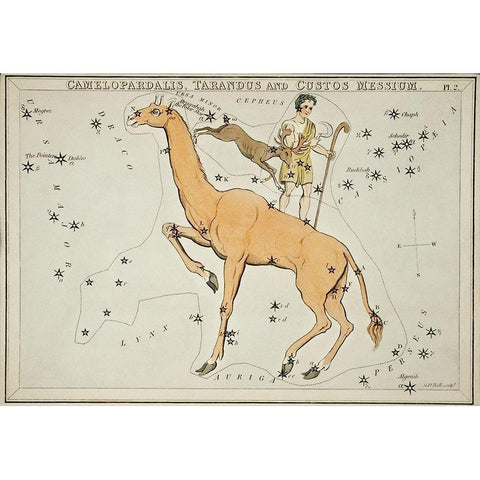 Astronomical chart illustration of the Camelopardalis-Tarandus and the Custos Messium Gold Ornate Wood Framed Art Print with Double Matting by Hall, Sidney
