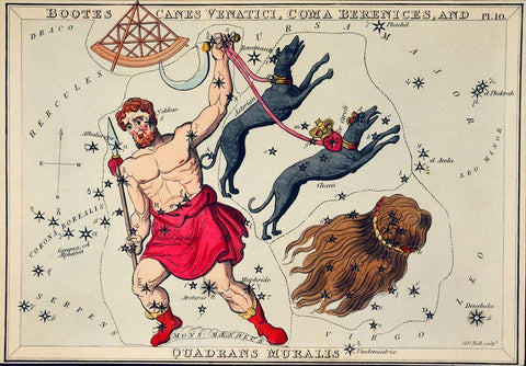 Astronomical chart illustration of Bootes Canes Venatici-Coma Berenices-and Quadrans Muralis White Modern Wood Framed Art Print with Double Matting by Hall, Sidney