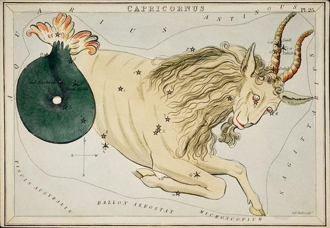 Astronomical chart illustration of the Zodiac Capricornus White Modern Wood Framed Art Print with Double Matting by Hall, Sidney