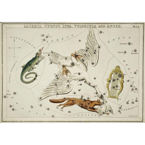 Astronomical chart illustration of the Lacerta-Cygnus-Lyra-Vulpecula and the Anser Gold Ornate Wood Framed Art Print with Double Matting by Hall, Sidney