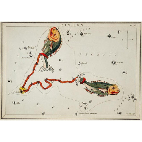 Astronomical chart illustration of the Pisces Black Modern Wood Framed Art Print with Double Matting by Hall, Sidney