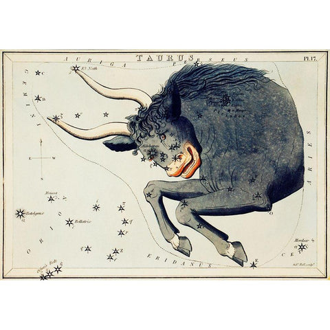 Astronomical chart illustration of the Taurus Gold Ornate Wood Framed Art Print with Double Matting by Hall, Sidney