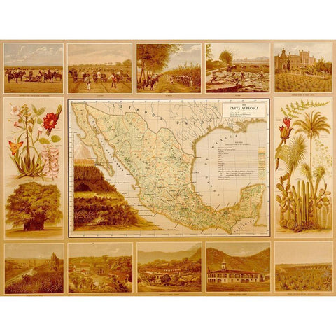 Agricultural Map of Mexico Gold Ornate Wood Framed Art Print with Double Matting by Vintage Maps