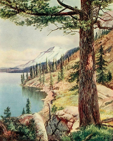 On the Shore of Lake Tahoe from On Sunset Highways 1921 White Modern Wood Framed Art Print with Double Matting by Bagg, Henry