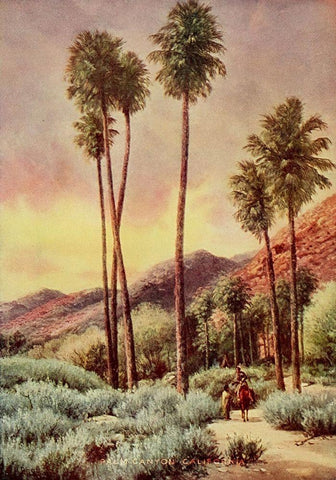Palm Canyon-California from On Sunset Highways 1921 White Modern Wood Framed Art Print with Double Matting by Bagg, Henry