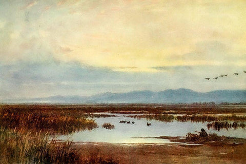 Waiting for duck-Los Banos-California 1914 White Modern Wood Framed Art Print with Double Matting by Palmer, Sutton