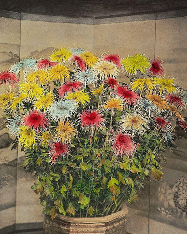 Misu no Uchi Black Ornate Wood Framed Art Print with Double Matting by Kazumasa, Ogawa