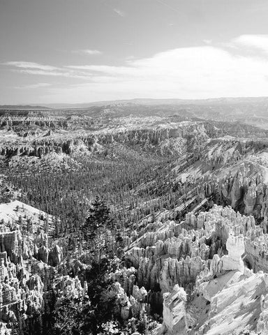 Bryce Canyon National Park-Utah White Modern Wood Framed Art Print with Double Matting by Highsmith, Carol