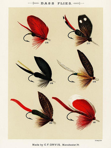Bass Fishing Flies V from Favorite Flies and Their Histories Black Ornate Wood Framed Art Print with Double Matting by Marbury, Mary Orvis