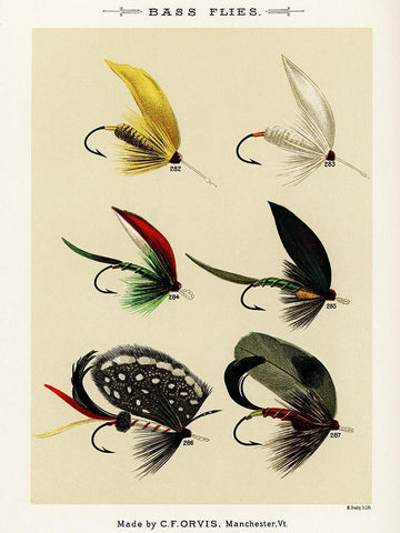 Bass Fishing Flies VI from Favorite Flies and Their Histories White Modern Wood Framed Art Print with Double Matting by Marbury, Mary Orvis
