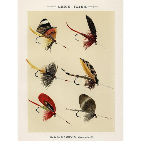 Lake Fishing Flies VIII from Favorite Flies and Their Histories Black Modern Wood Framed Art Print with Double Matting by Marbury, Mary Orvis