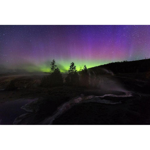 Aurora borealis II, Upper Geyser Basin, Yellowstone National Park Gold Ornate Wood Framed Art Print with Double Matting by The Yellowstone Collection