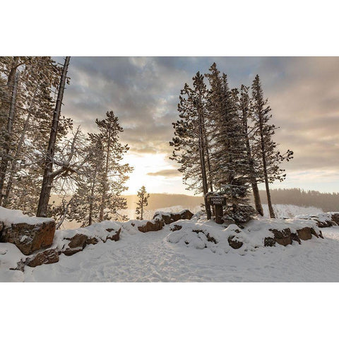 Fall Sunrise at Lookout Point Overlook, Yellowstone National Park White Modern Wood Framed Art Print by Frank, Jacob W.