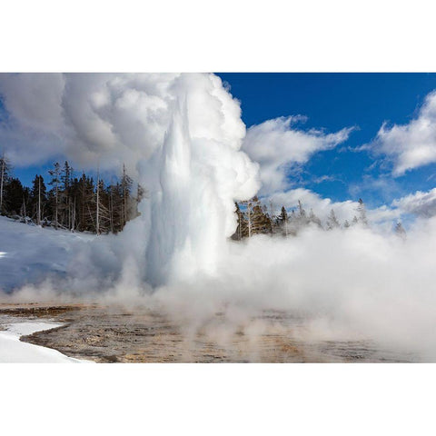 Grand Geyser Eruption, Yellowstone National Park White Modern Wood Framed Art Print by Frank, Jacob W.