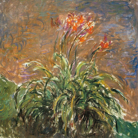 Hemerocallis 1914 White Modern Wood Framed Art Print with Double Matting by Monet, Claude