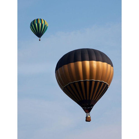 Decatur-Alabama Annual Hot Air Balloon Jubilee Festival Gold Ornate Wood Framed Art Print with Double Matting by Highsmith, Carol