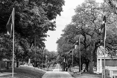 Texas State Flags line a path through the Texas State Cemetery in Austin White Modern Wood Framed Art Print with Double Matting by Highsmith, Carol