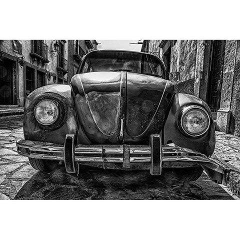 Hangin in There Gold Ornate Wood Framed Art Print with Double Matting by Vintage Photo Archive