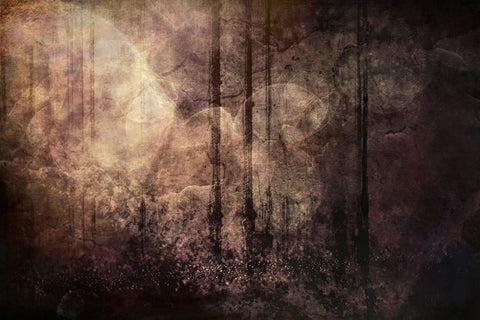 Wood between the Worlds Black Ornate Wood Framed Art Print with Double Matting by Alpenglow Workshop