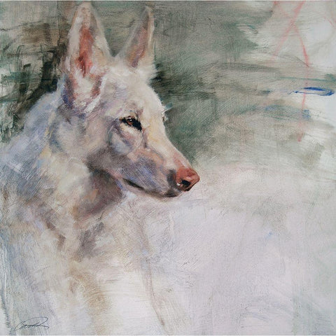 White Shepherd Wonder Gold Ornate Wood Framed Art Print with Double Matting by Campbell, Robert