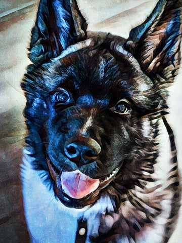 American Akita Puppy Smile White Modern Wood Framed Art Print with Double Matting by Aldridge, Ashley