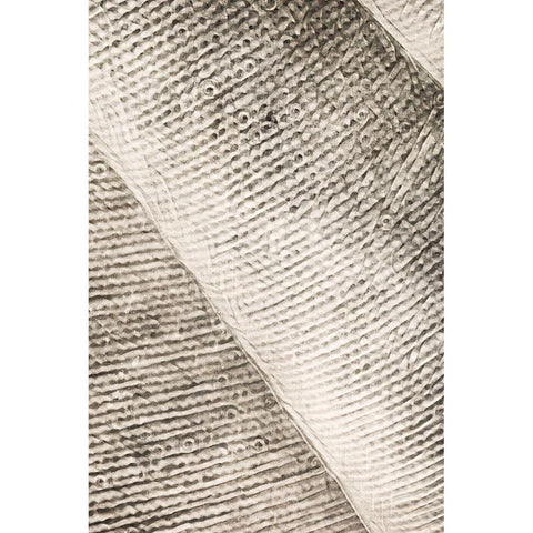 Woven Geometric Abstract II White Modern Wood Framed Art Print by Aldridge, Ashley