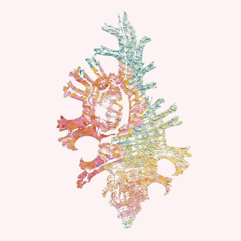 Bahama Shell I Gold Ornate Wood Framed Art Print with Double Matting by Guillen, Surma