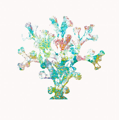 St Barts Coral White Modern Wood Framed Art Print with Double Matting by Guillen, Surma