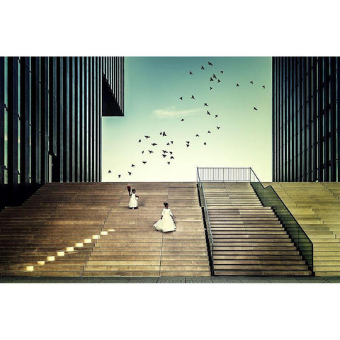 Free like a bird White Modern Wood Framed Art Print by Mohrmann, Dennis