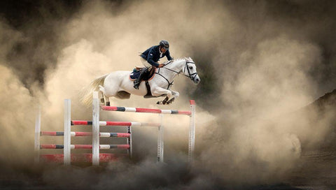 White horse White Modern Wood Framed Art Print with Double Matting by Ünsal, Arif