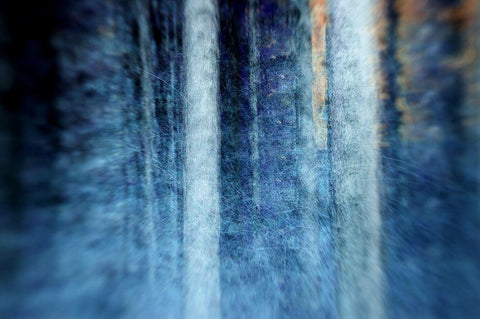 THE FOREST White Modern Wood Framed Art Print with Double Matting by Barbadimos, Kostas