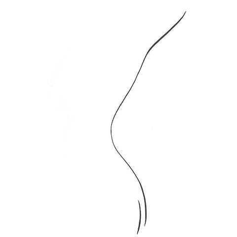 Back Gold Ornate Wood Framed Art Print with Double Matting by Artographie Studio