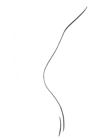 Back Black Ornate Wood Framed Art Print with Double Matting by Artographie Studio