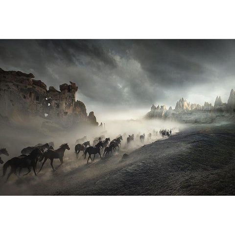 Migration Black Modern Wood Framed Art Print with Double Matting by Taskin, Huseyin