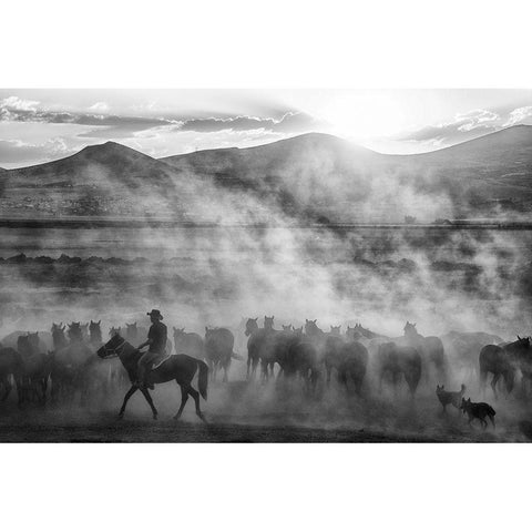 Rider on the roll Black Modern Wood Framed Art Print with Double Matting by Aumitcanan